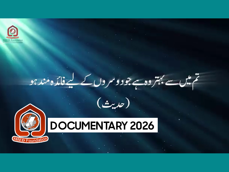 SHED DOCUMENTARY 2026